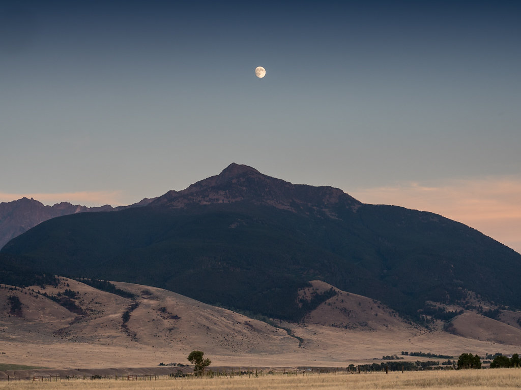 Landscape