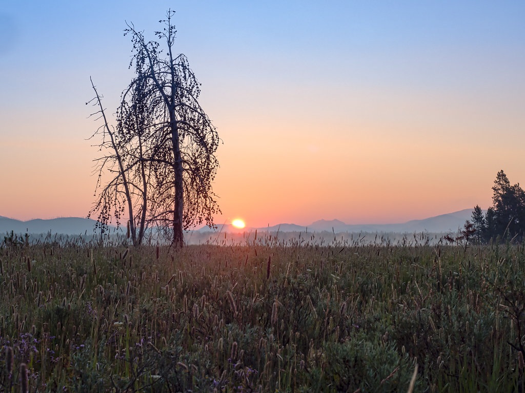 Landscape
