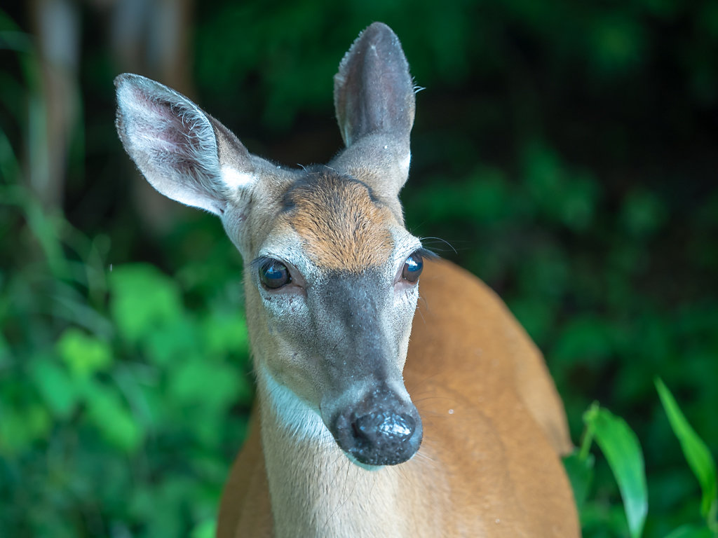 Curious (First in Series)